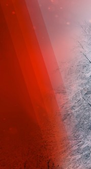 Christmas Color Website Banner