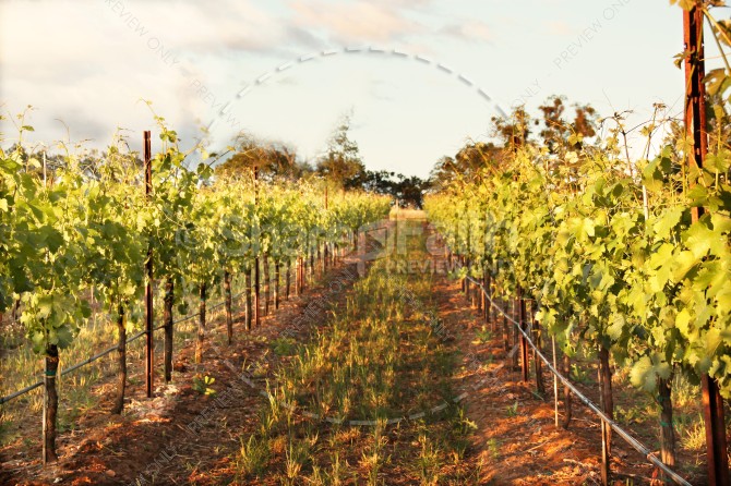 Home Top Christian Stock Photos...