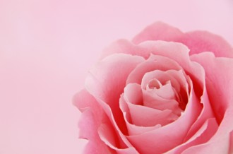 Rose Christian Stock Images