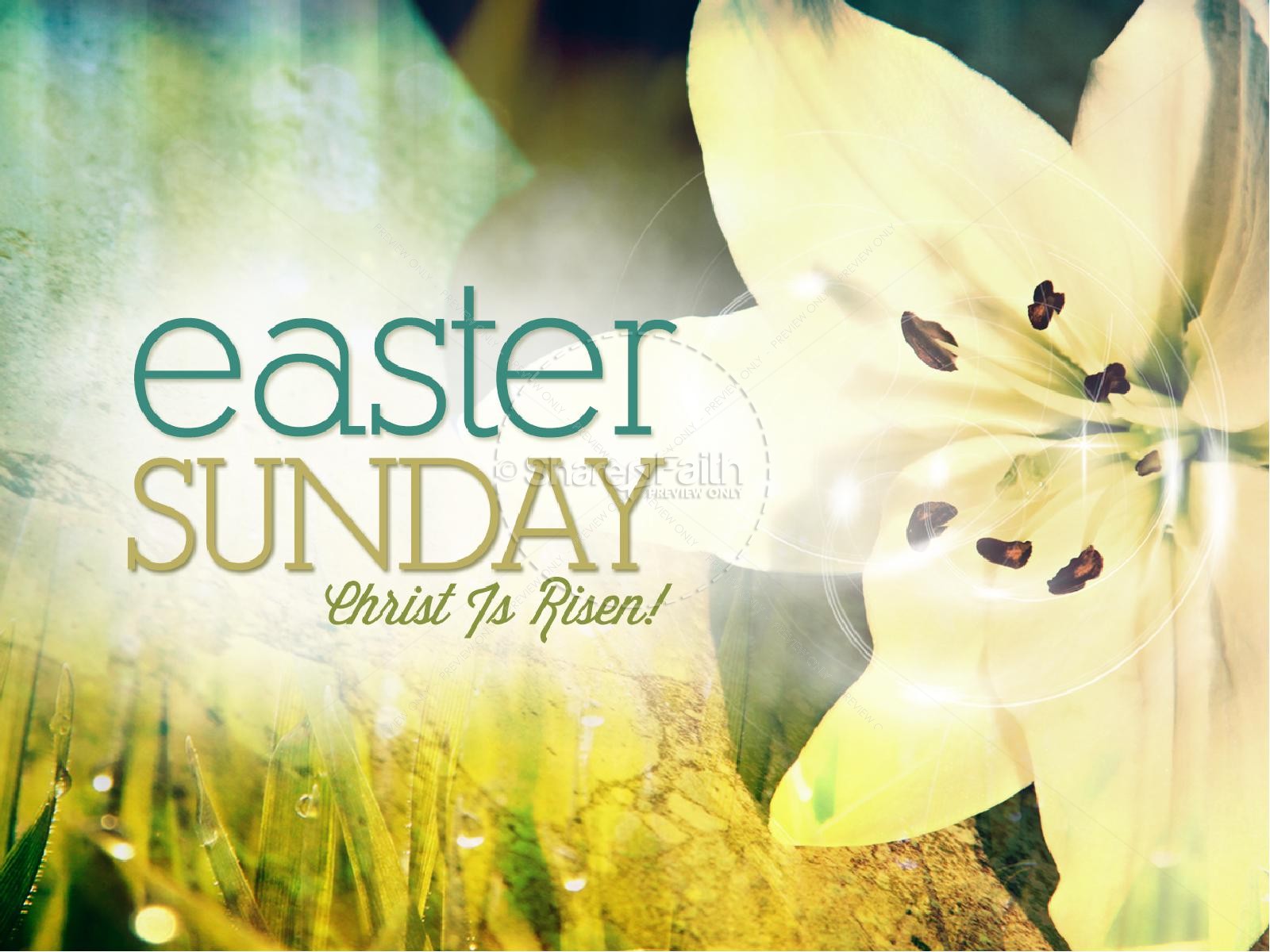 Easter Sunday Lily Powerpoint Easter Sunday Resurrection Powerpoints 