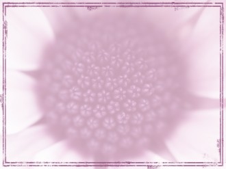 Purple Flower Worship Background