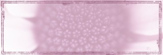 Godly Woman Website Banner