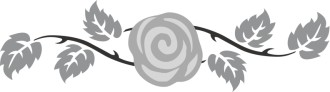 Elegant Rose Blossom