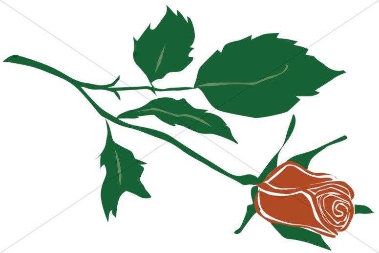 clipart rose of sharon - photo #21