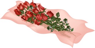 Roses on Pink Tissue Paper