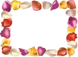 Summer Rose Petal Horizontal