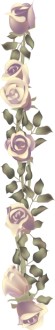 Birthday Rose Column