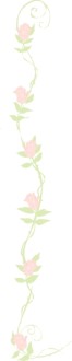 Faded Roses Page Side