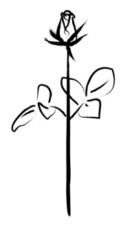 Black and White Sketched Rose