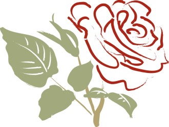 Red Rose with Pale Leaves