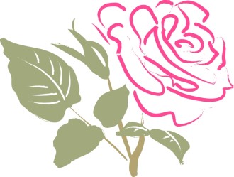 Deep Pink Rose Sketch