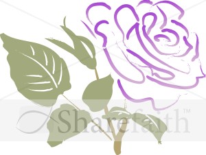 Purple Sympathy Rose