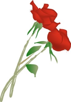 Two Romantic Roses
