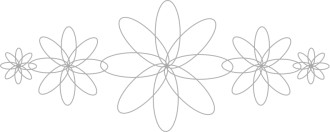 Flower Petals Geometric Design