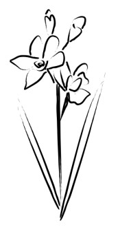 Brushstroke Flower Accent