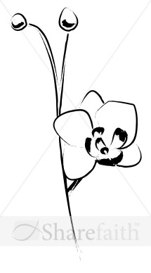 Elegant Flower Accent Sketch