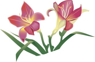 Easter Lillies in Pink