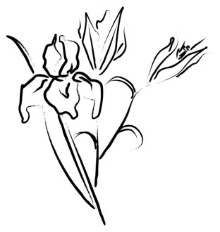 Flower Sketch