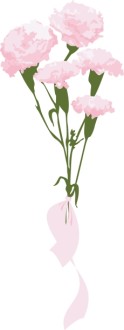 Pink Carnation Gift Bouquet