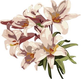 Lovely Light Red Lilies