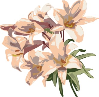 Lovely Light Orange Lilies