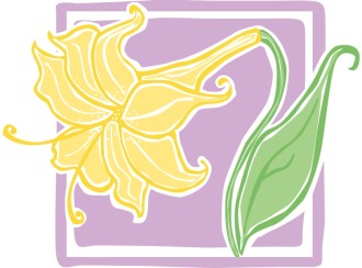 Blossoming Easter Lily