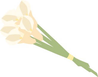 Calla Lilies Wrapped