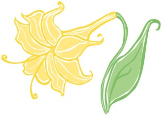 Bodacious Yellow Easter Lily