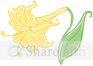 Bodacious Yellow Easter Lily