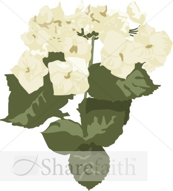 White Hydrangea Altar Flowers