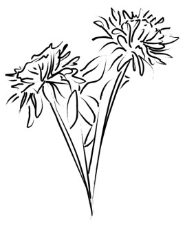 Bouquet of Mums Memorial Flowers