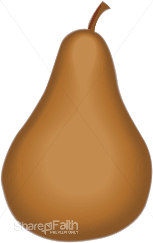 Delicious Golden Bosc Pear