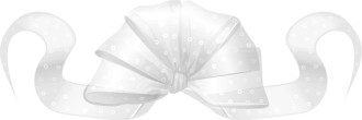 White Fancy Ribbon Bow