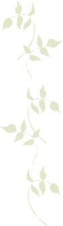 Leaf Accent Watermark