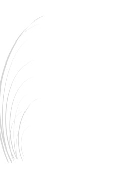 Grassy Gray Page Side
