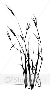 Summer Grass Sketch | Leaf Borders