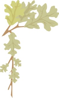Oak Leaf Page Corner