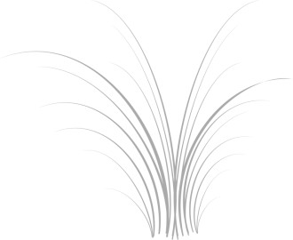 Grassy Page Accent