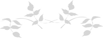 Gray Leaves Watermark