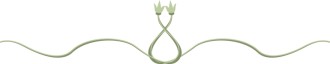 Simple Vine Divider 2
