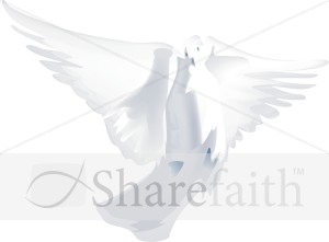 Living Dove