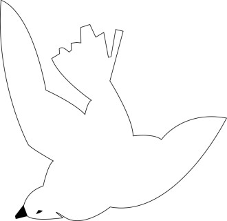 Dove Line Drawing