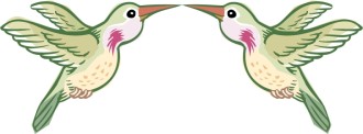 Symmetrical Hummingbirds