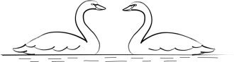 Two Swans on Pond