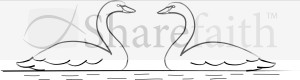Two Swans on Pond