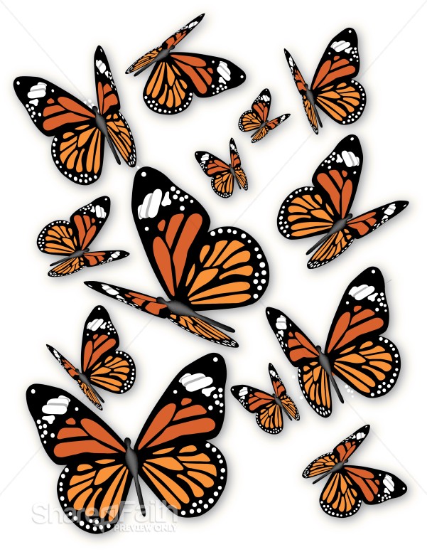 a-bunch-of-monarch-butterflies-butterfly-clipart