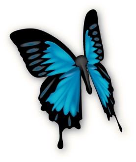 Beautiful Blue Butterfly