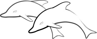 jumping dolphin outline