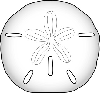 Sand Dollar