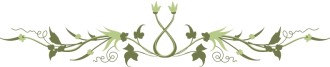 Symmetrical Floral Ornament Page Divider